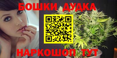 стафф Заводоуковск