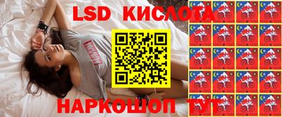 гашик Жуковский