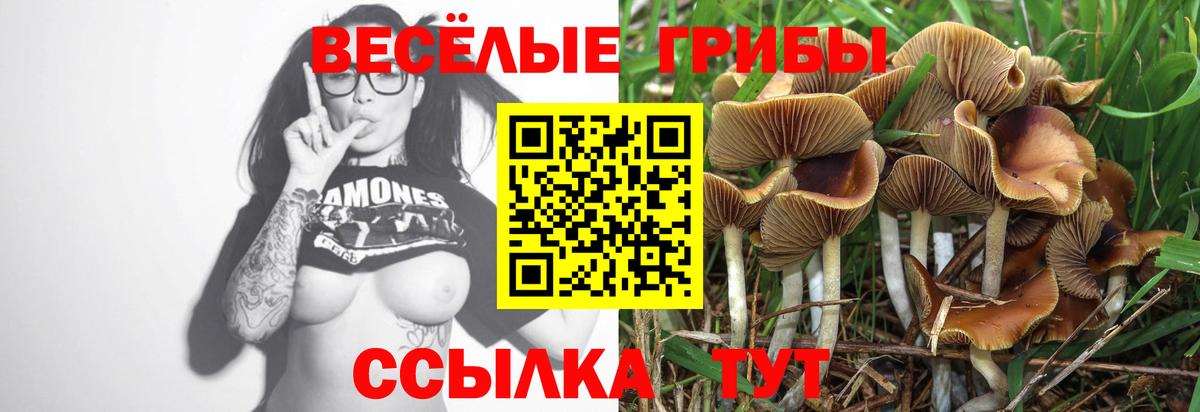 Галлюциногенные грибы прущие грибы Кунгур